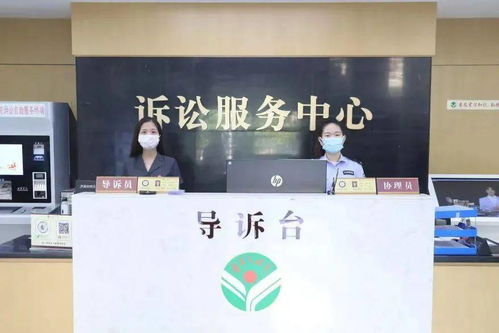 石獅法院打出“組合拳” 教育整頓辦實事，抗擊疫情與訴訟服務雙管齊下