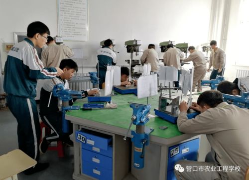 推進(jìn)職業(yè)教育實(shí)用高效發(fā)展 提升服務(wù)地區(qū)發(fā)展能力